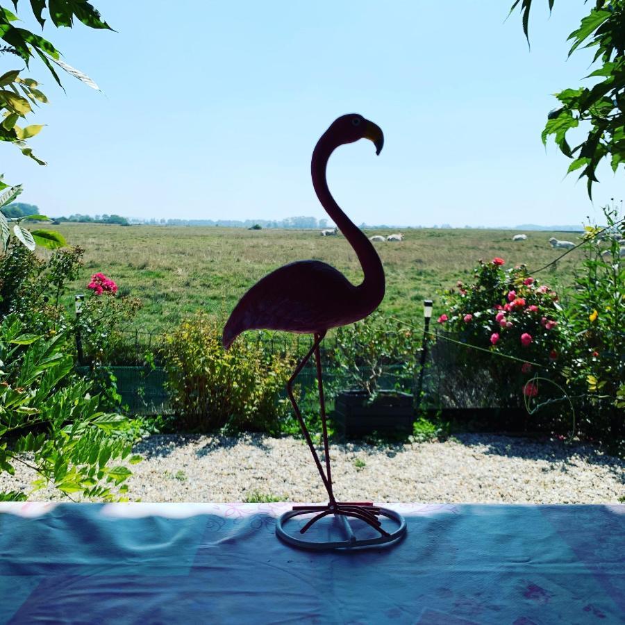 Chalet bord de mer 6 couchages Villa Merville-Franceville-Plage Eksteriør bilde